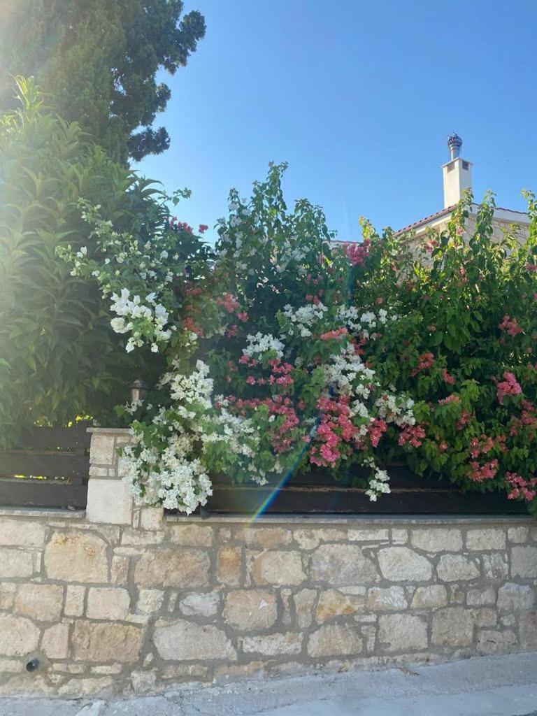 Almond Grove Villa Simou Zewnętrze zdjęcie