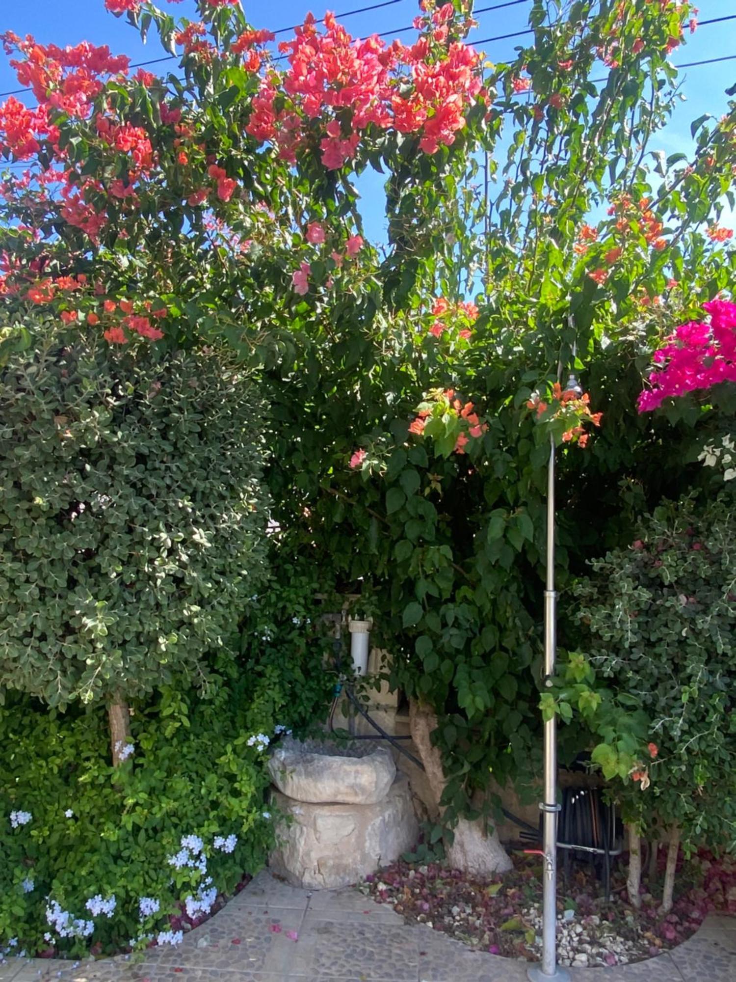 Almond Grove Villa Simou Zewnętrze zdjęcie