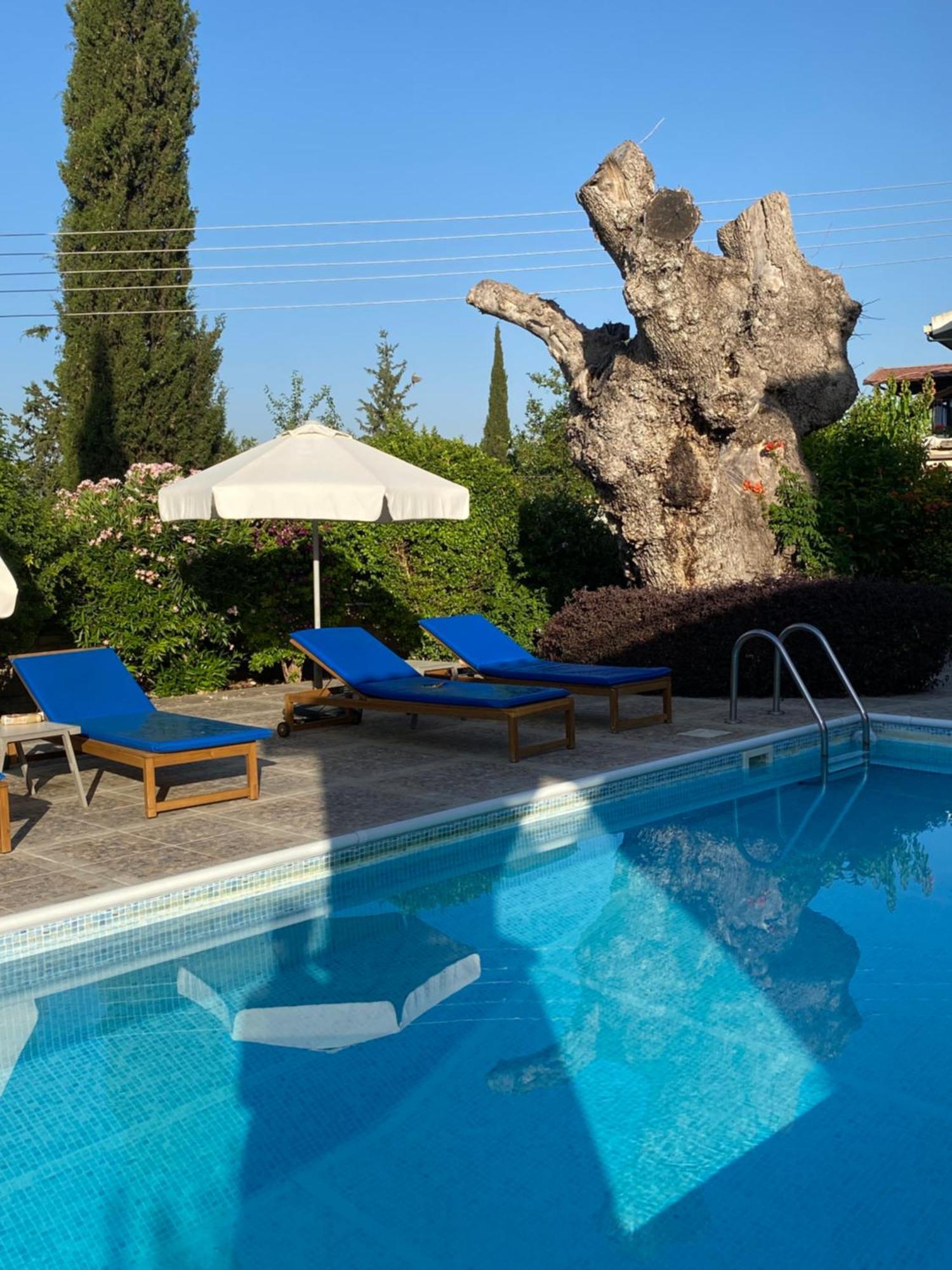 Almond Grove Villa Simou Zewnętrze zdjęcie