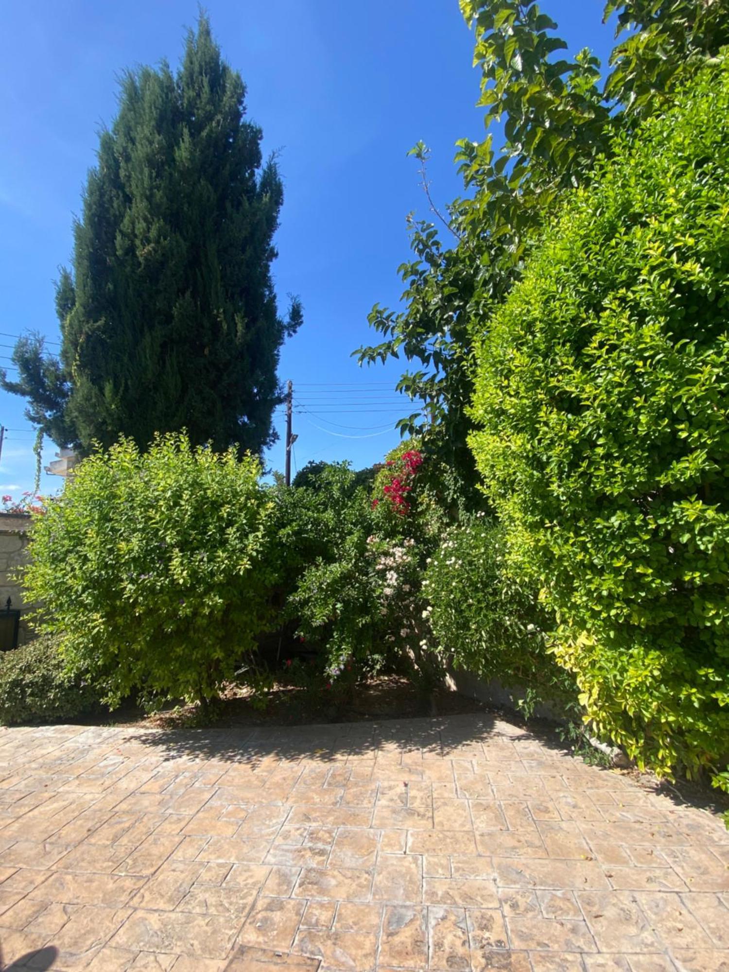 Almond Grove Villa Simou Zewnętrze zdjęcie